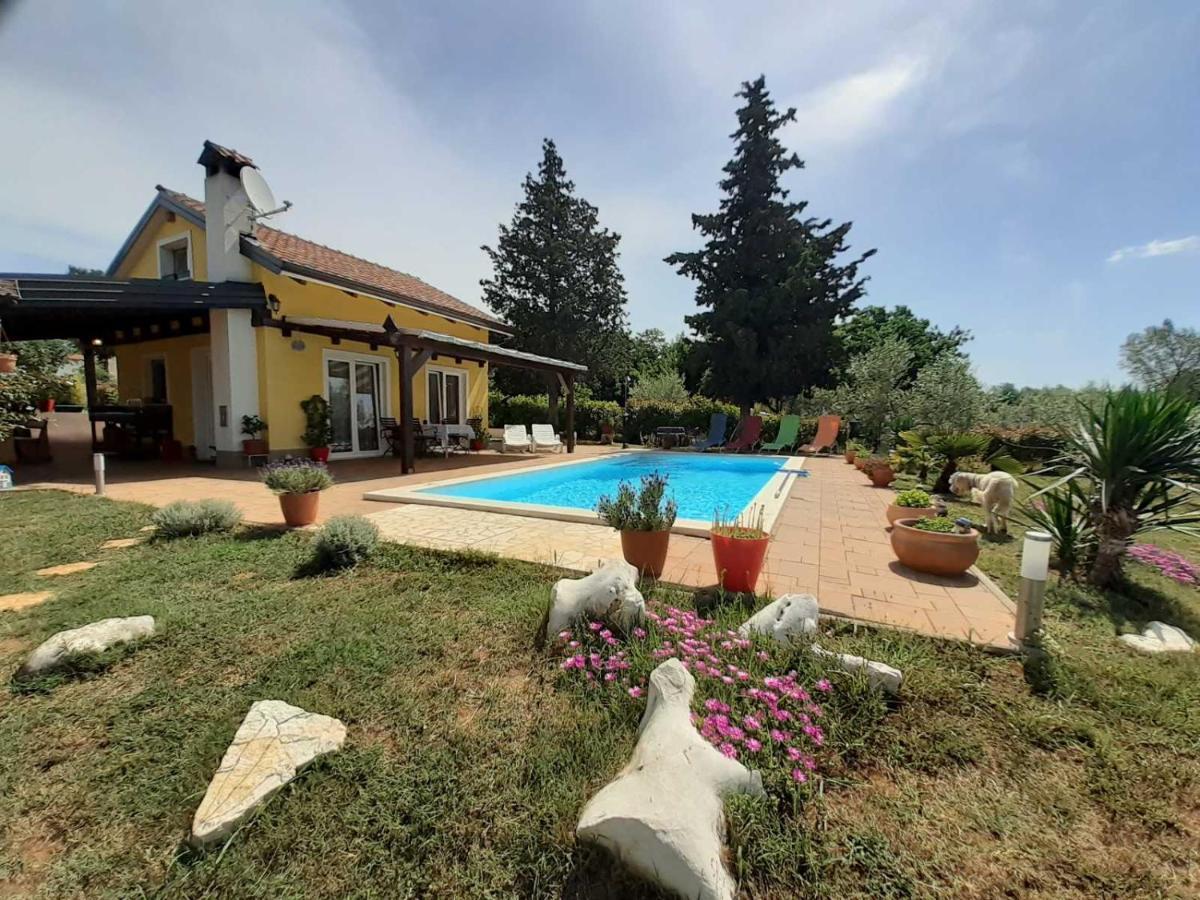 Ferienhaus Paco *