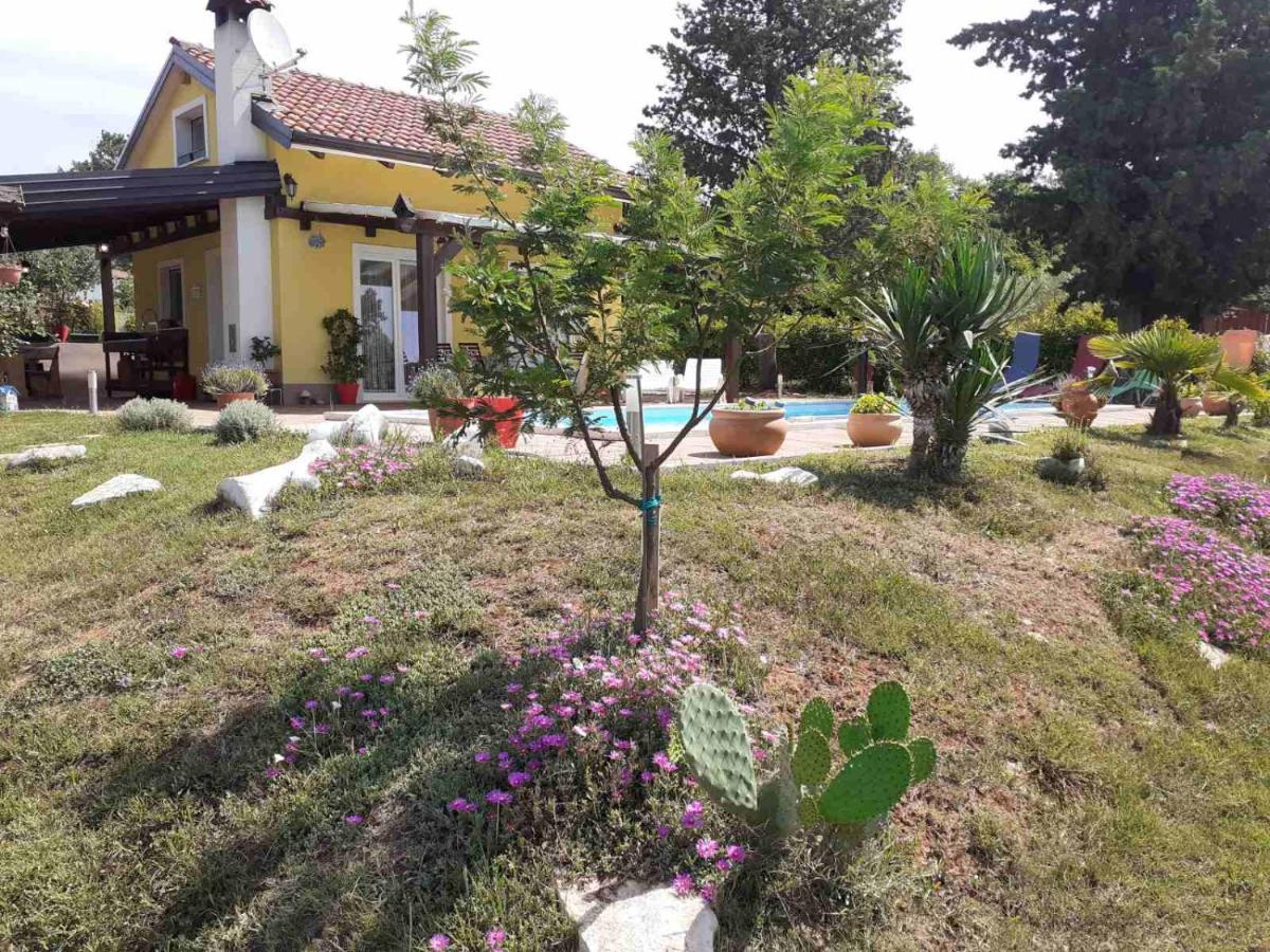 Ferienhaus Paco