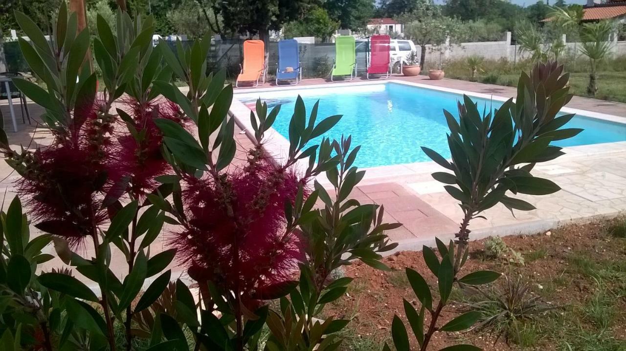 Ferienhaus Paco *